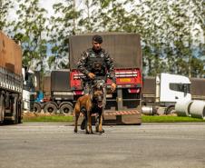 Cães farejadores apoiam Operação Faro no Pátio de Triagem da Portos do Paraná