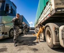 Cães farejadores apoiam Operação Faro no Pátio de Triagem da Portos do Paraná