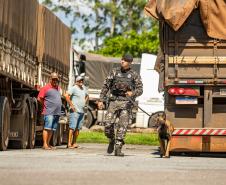 Cães farejadores apoiam Operação Faro no Pátio de Triagem da Portos do Paraná