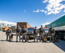 #ParaQuemNaoPodeVer Foto mostra seis policiais em uniforme camuflado em pé, lado a lado, acompanhados por quatro cães pastores. Eles estão em uma estrada, na frente de uma viatura policial com luzes vermelhas e de um caminhão grande coberto com lona verde. O céu está azul com algumas nuvens e o clima parece ensolarado. Ao fundo, é possível ver árvores e um prédio ou galpão.