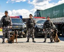 Cães farejadores apoiam Operação Faro no Pátio de Triagem da Portos do Paraná