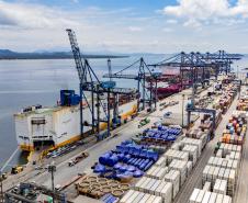 Portos do Paraná concentram quase metade das exportações de frango do Brasil