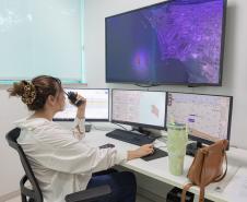 Porto de Paranaguá simula manobras para expansão da infraestrutura portuária