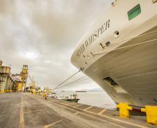 Navio de cruzeiros traz turistas da América do Norte e da Europa ao litoral do Paraná