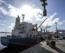 Alta de até 383% na importação de insumos impulsiona indústria cervejeira paranaense