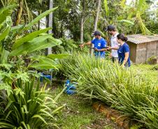 Portos do Paraná amplia projeto pioneiro de saneamento ecológico para mais ilhas do litoral