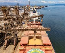 #praquemnaopodever o cais do Porto de Paranaguá visto de cima, sendo o primeiro navio mais proximo da camera um graneleiro repleto de soja e, ao fundo, diversos navios enfileirados ao longo do cai
