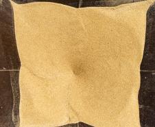 Porto de Paranaguá registra maior operação de cevada em um único navio