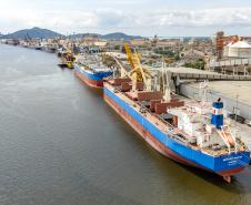 Porto de Paranaguá registra maior operação de cevada em um único navio
