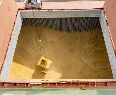 Porto de Paranaguá registra maior operação de cevada em um único navio