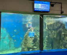 Reforma patrocinada pela Portos do Paraná melhora visitação no Aquário de Paranaguá