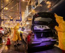 Porto de Paranaguá registra maior desembarque de veículos elétricos do Paraná