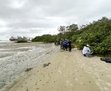 Mutirão da Portos do Paraná recolhe quase 200 kg de resíduos em manguezais