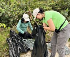 Mutirão da Portos do Paraná recolhe quase 200 kg de resíduos em manguezais