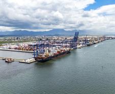 Exportações de frango pelo Porto de Paranaguá crescem 15%