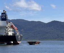 Simulado testa protocolo de “homem ao mar” no Porto de Paranaguá