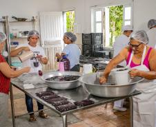 Oficina da Portos do Paraná ensina comunidade litorânea sobre coleta e despolpa do açaí juçara