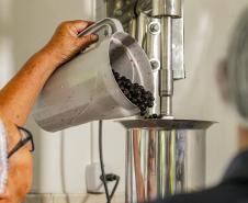 Oficina da Portos do Paraná ensina comunidade litorânea sobre coleta e despolpa do açaí juçara