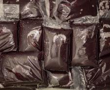 Oficina da Portos do Paraná ensina comunidade litorânea sobre coleta e despolpa do açaí juçara