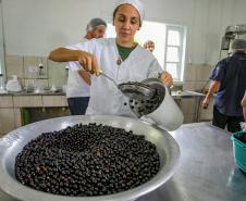 Oficina da Portos do Paraná ensina comunidade litorânea sobre coleta e despolpa do açaí juçara