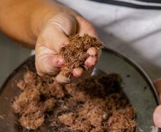 Oficina da Portos do Paraná ensina comunidade litorânea sobre coleta e despolpa do açaí juçara