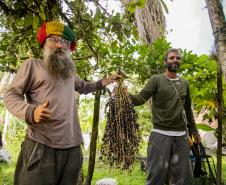 Oficina da Portos do Paraná ensina comunidade litorânea sobre coleta e despolpa do açaí juçara
