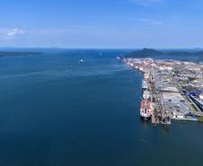 Entre navios e manguezais, biodiversidade de peixes se destaca na Baía de Paranaguá