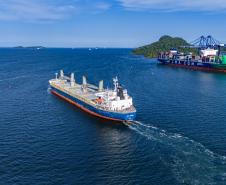 Entre navios e manguezais, biodiversidade de peixes se destaca na Baía de Paranaguá