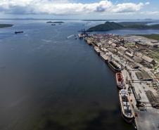 Entre navios e manguezais, biodiversidade de peixes se destaca na Baía de Paranaguá