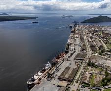 Entre navios e manguezais, biodiversidade de peixes se destaca na Baía de Paranaguá