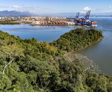 Entre navios e manguezais, biodiversidade de peixes se destaca na Baía de Paranaguá