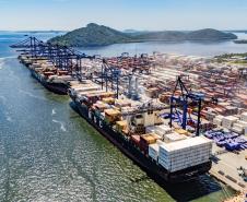 Total exportado em frango foi recorde para os cinco primeiros meses do ano