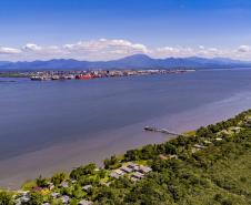 Entre navios e manguezais, biodiversidade de peixes se destaca na Baía de Paranaguá