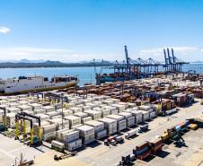 Total exportado em frango foi recorde para os cinco primeiros meses do ano