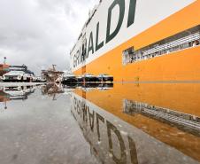 Novas montadoras ampliam o recebimento de automóveis no segundo semestre. Porto realiza desembarque recorde de 6 mil veículos de um navio nessa semana