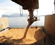 Corredor de Exportação bate recorde pelo quarto mês seguido