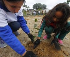 Appa e Instituto Mosaic promovem plantio de espécies nativas