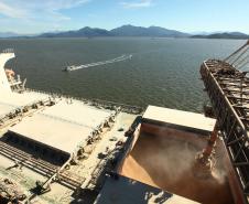 O Porto de Paranaguá bateu o quinto recorde em movimentação de cargas de 2016 ao registrar o maior volume de produtos já carregados no período de seis meses. 