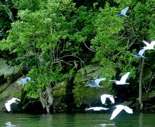 Portos do Paraná são os que mais evoluíram em desempenho ambiental