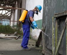 Portos do Paraná antecipam campanha contra a dengue