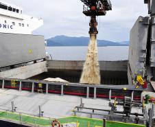 Porto de Paranaguá tem aumento na movimentação de cargas em 2016