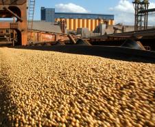 Aumenta participação do agronegócio nas exportações paranaenses