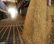 Aumenta participação do agronegócio nas exportações paranaenses
