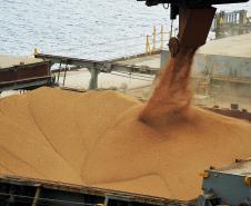 Aumenta participação do agronegócio nas exportações paranaenses