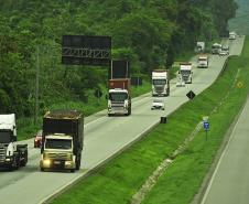 Porto de Paranaguá tem novo sistema de agendamentos para descarga de caminhões
