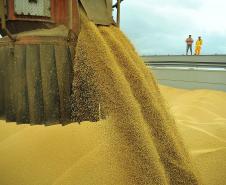 Porto de Paranaguá bate recorde de movimentação pelo sexto ano consecutivo