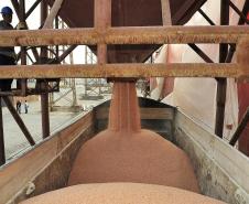 Importação de fertilizantes por Paranaguá cresce 22% no quadrimestre
