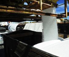 Importação de fertilizantes por Paranaguá cresce 22% no quadrimestre