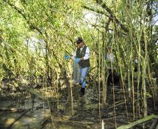 Portos do Paraná investem R$ 67 milhões em meio ambiente