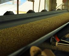 Movimentação de grãos no Corredor de Exportação aumenta 22% em junho